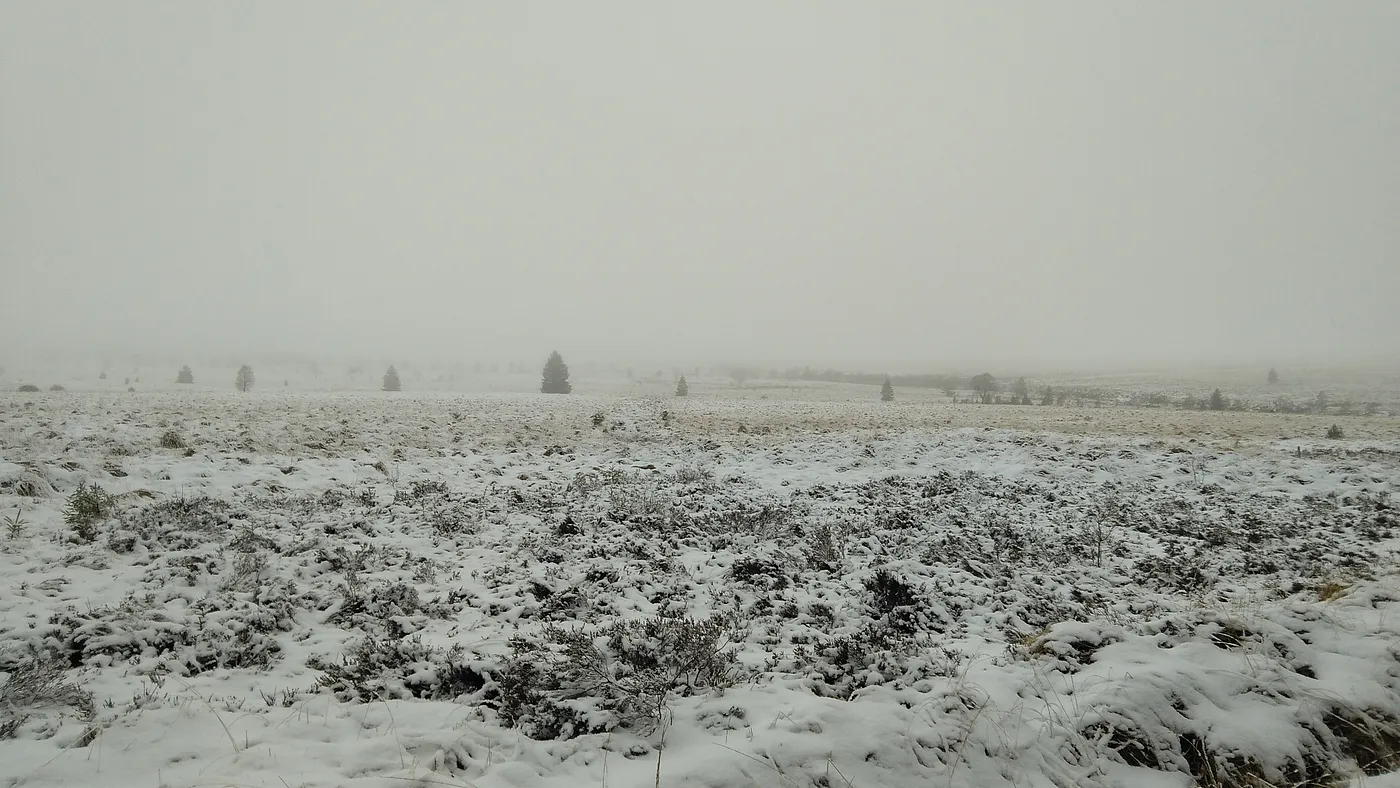 A wintery day with a lot of low-hanging stratus clouds (High Fens, Belgium)